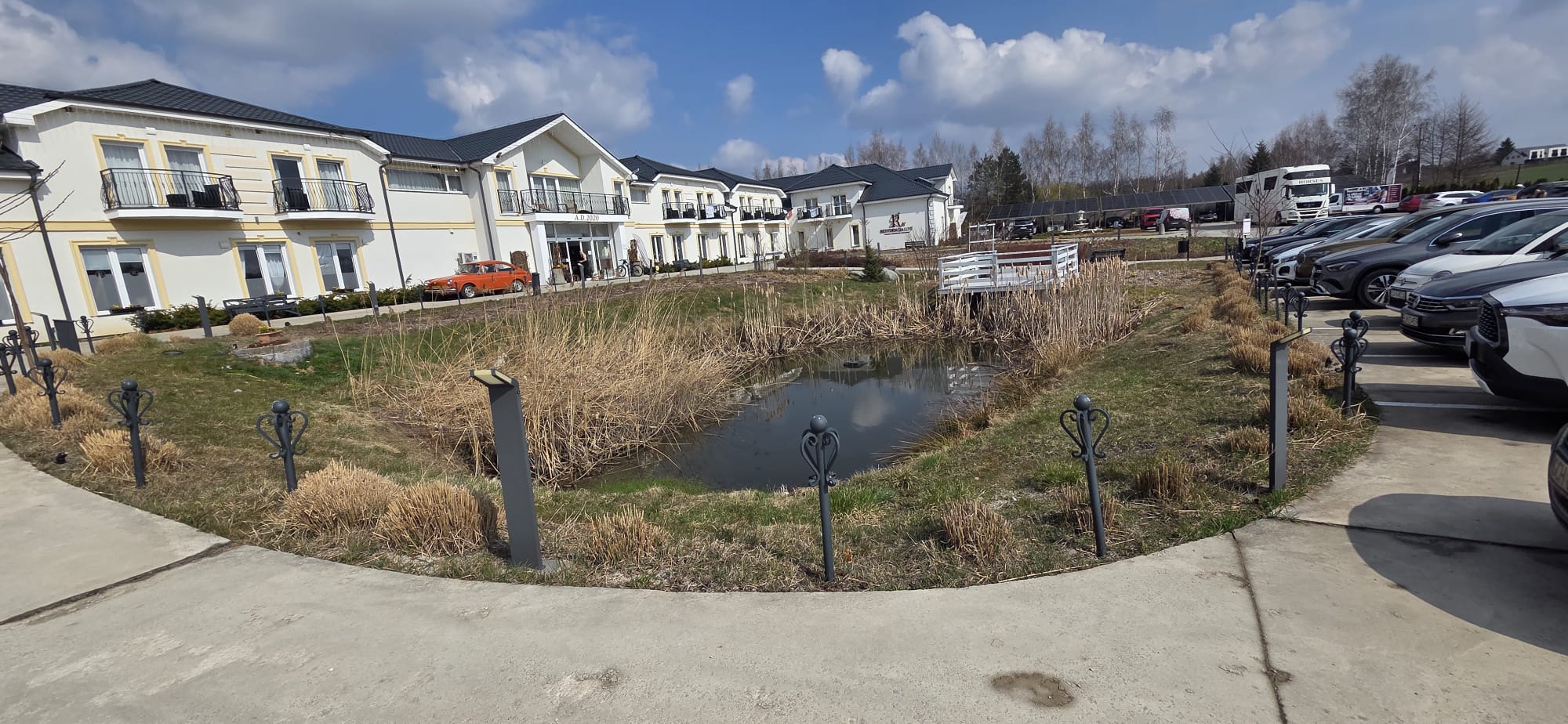 Staw zarośnięty suchymi trzcinami przed pracami porządkowymi