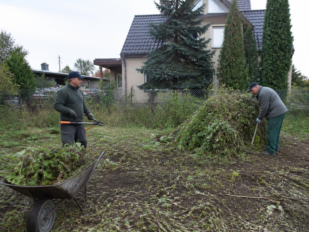 Porządkowanie zarośniętego terenu — zbieranie gałęzi i pozostałości roślinnych